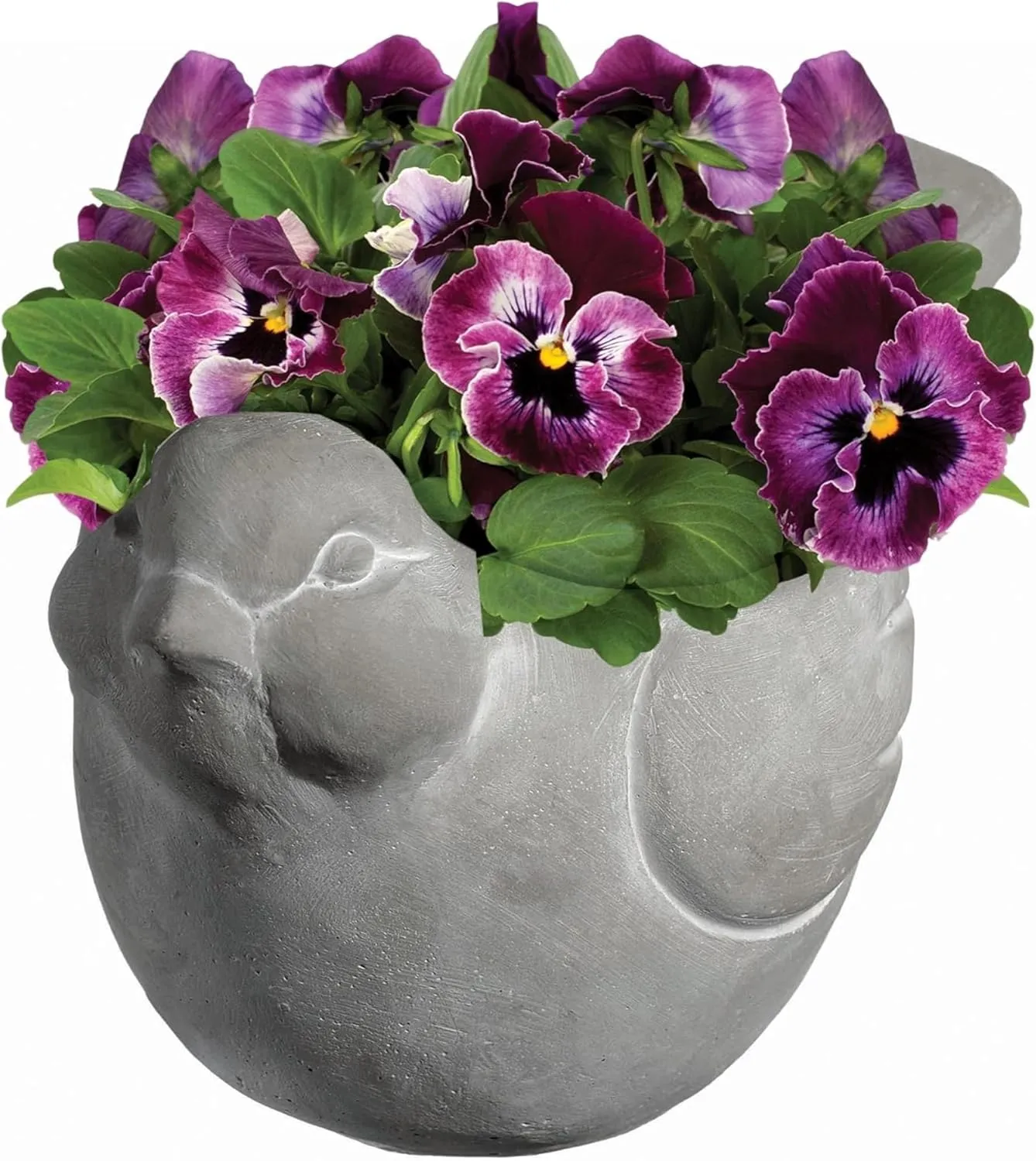 Classic Home and Garden Cement Buddies Indoor Outdoor Bird Planter, Gray, Small, 6"